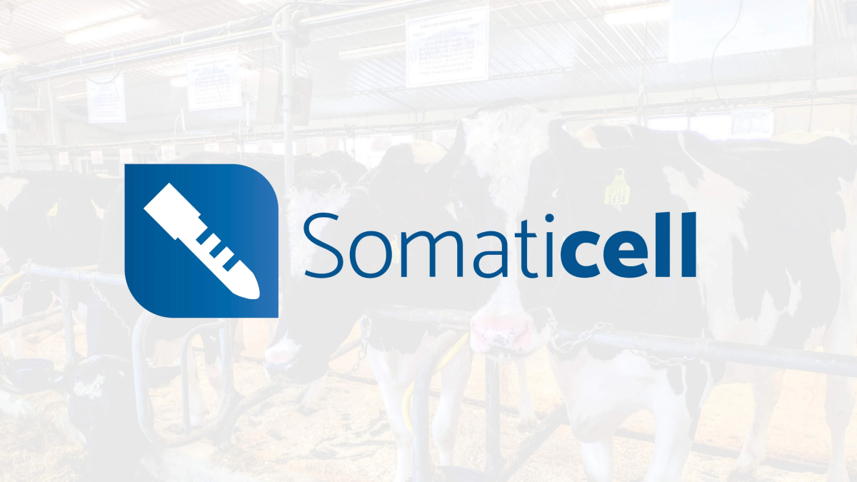 Somaticell